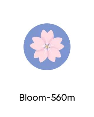 Bloom